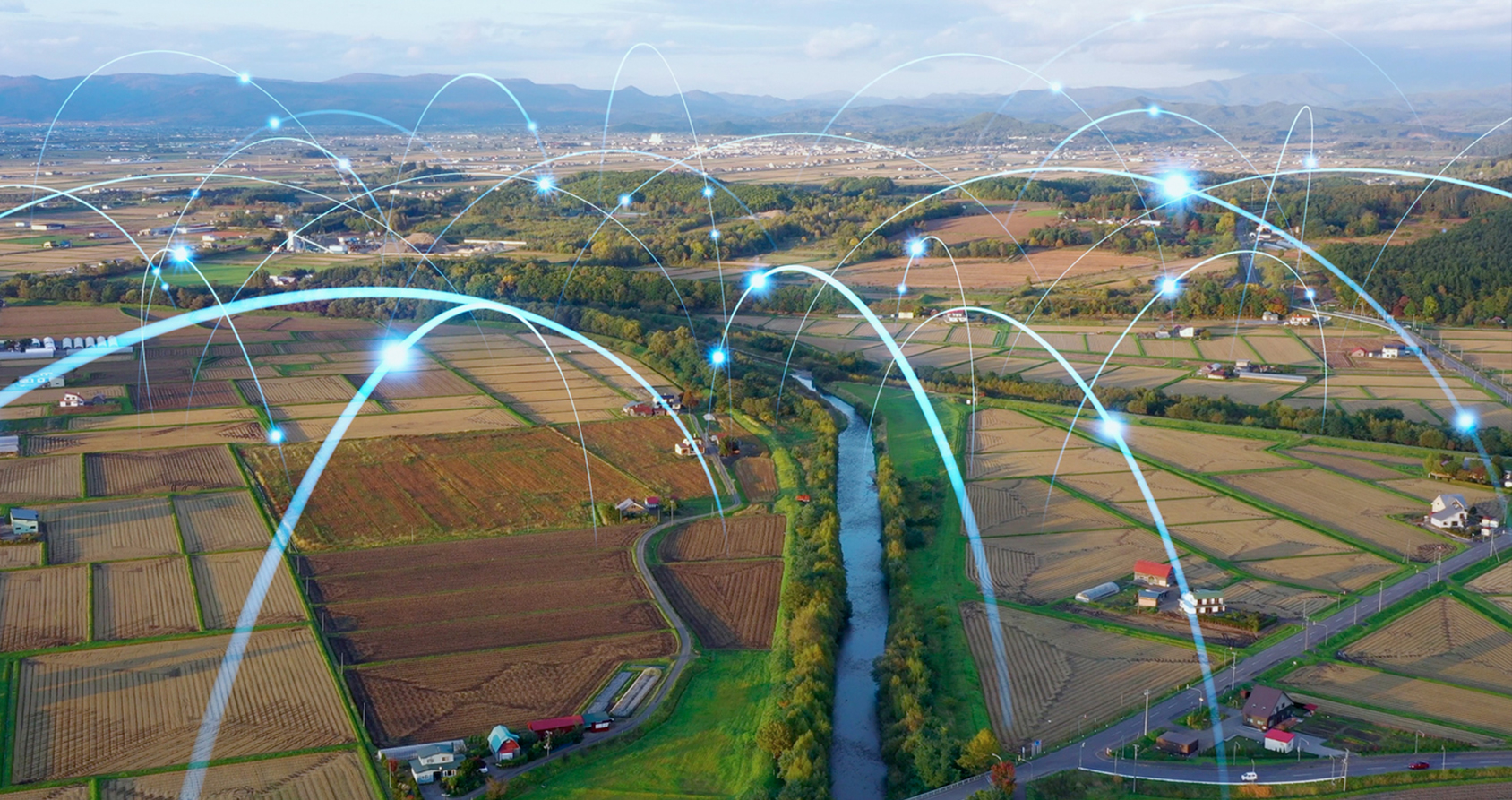 expertise para la diversificación